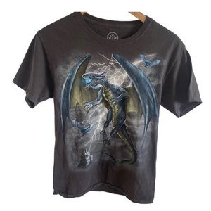 DOM ART Large Dragon Graphic short sleeve gray T-shirt. Unisex Size xl